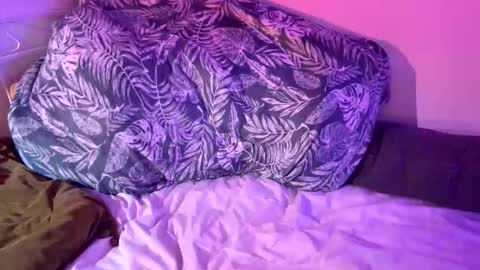 Bags24 online show from 02/03/26, 02:33