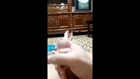 Snapshot of bahaa5555 chatting on 02/12/26, 04:18 bahaa5555 online show from 02/12/26, 04:18