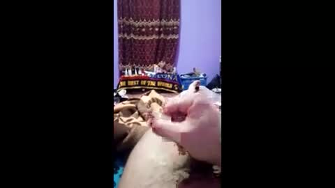 Snapshot of bahaa5555 chatting on 03/01/26, 07:16 bahaa5555 online show from 03/01/26, 07:16