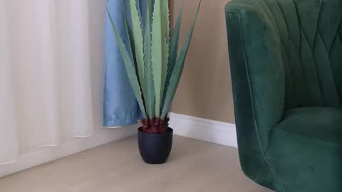 Snapshot of bailey_rush chatting on 12/03/25, 04:49 bailey_rush online show from 12/03/25, 04:49