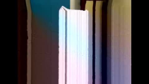 balajigoal online show from 03/14/26, 06:46