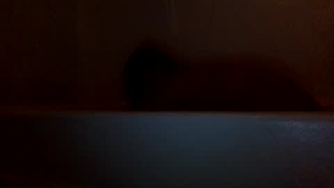 lets fuck my cock online show from 12/05/24, 07:27