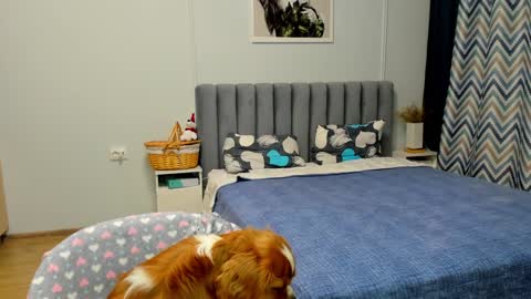 Kira online show from 01/10/25, 04:41