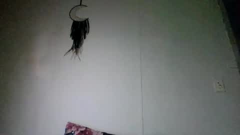 Snapshot of bamacpl80 chatting on 04/01/26, 11:33 bamacpl80 online show from 04/01/26, 11:33