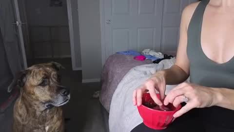 Snapshot of bambifarrina chatting on 01/18/26, 05:11 bambifarrina online show from 01/18/26, 05:11