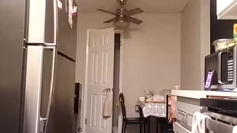 bambihasit online show from 10/25/25, 01:24