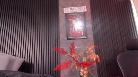 Bambi online show from 12/23/24, 02:50