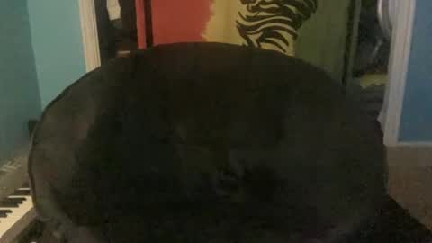 bananaboy420720 online show from 09/16/25, 06:14