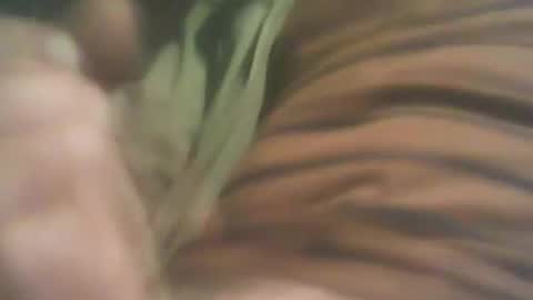 bandapart online show from 09/08/25, 05:01