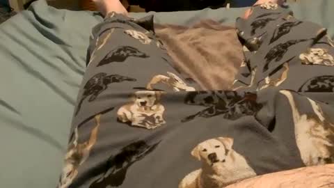 bandman862 online show from 12/11/24, 03:13