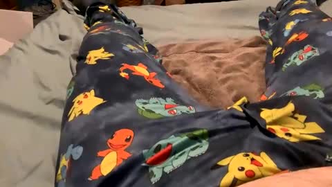 bandman862 online show from 01/23/25, 12:25