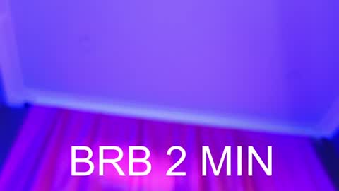 Barbara online show from 07/20/26, 10:39