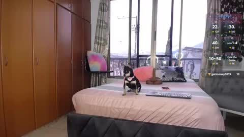 Snapshot of barbiefoxx chatting on 01/10/26, 03:36 Barbiefoxx online show from 01/10/26, 03:36