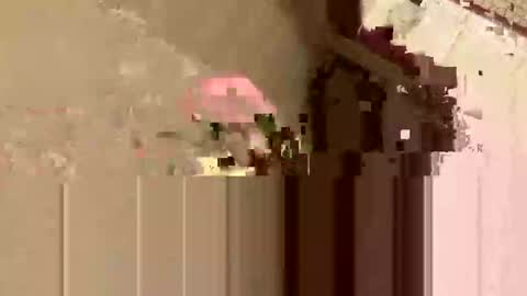 Snapshot of barkley314 chatting on 11/03/25, 02:18 barkley314 online show from 11/03/25, 02:18