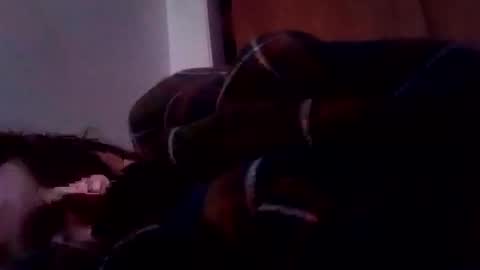 bathingcat online show from 01/19/25, 06:10