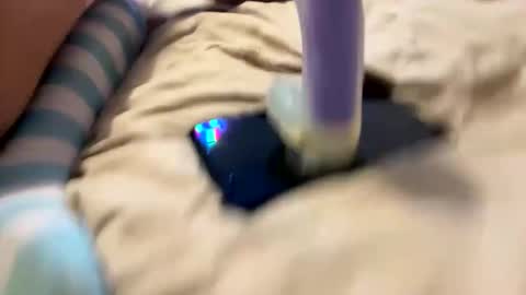 bathingcat online show from 11/27/25, 09:55