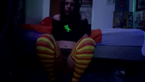 bathingcat online show from 03/01/26, 07:32