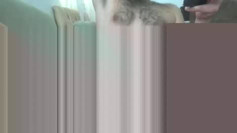 bathoneacock online show from 03/02/25, 08:16