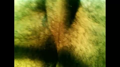 bayfall online show from 12/14/24, 10:28