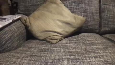 Snapshot of baykiwi54 chatting on 12/17/24, 08:45 baykiwi54 online show from 12/17/24, 08:45