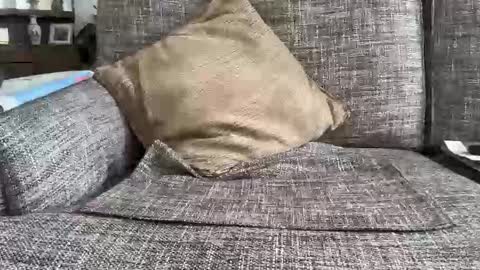 baykiwi54 online show from 02/11/26, 10:26