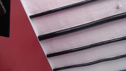 Snapshot of bayonette_black chatting on 12/02/24, 11:34 bayonette_black online show from 12/02/24, 11:34