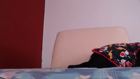 Snapshot of bayonette_black chatting on 09/26/25, 12:09 bayonette_black online show from 09/26/25, 12:09