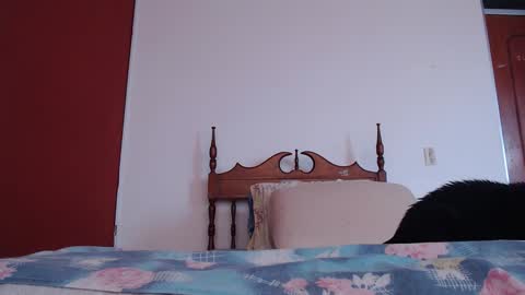 Snapshot of bayonette_black chatting on 09/27/25, 12:10 bayonette_black online show from 09/27/25, 12:10