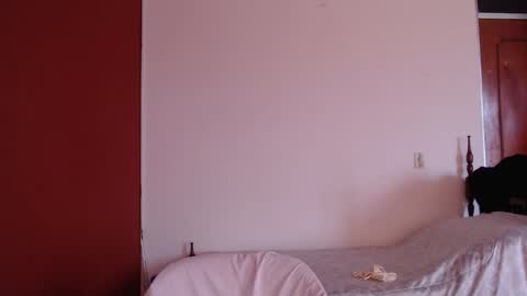 bayonette_black online show from 11/09/25, 07:01