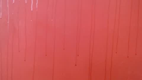 bayonette_black online show from 11/23/25, 07:02