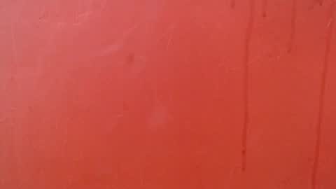 bayonette_black online show from 11/29/25, 07:06