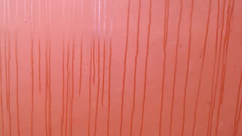 bayonette_black online show from 12/01/25, 07:08