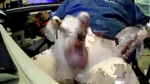 bb5199bb online show from 12/27/24, 01:00