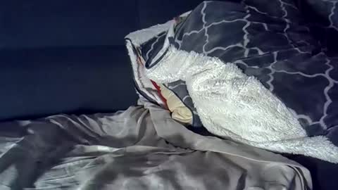 Snapshot of bbc_highness chatting on 03/29/26, 08:14 bbc_highness online show from 03/29/26, 08:14