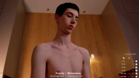 Snapshot of bbrandon_ chatting on 03/07/25, 04:13 Brandon online show from 03/07/25, 04:13