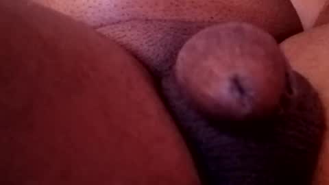 Snapshot of bcfalcon69 chatting on 02/13/26, 05:36 bcfalcon69 online show from 02/13/26, 05:36