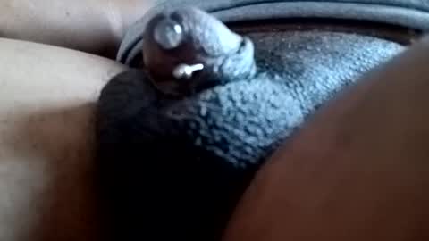 Snapshot of bcfalcon69 chatting on 03/09/26, 12:31 bcfalcon69 online show from 03/09/26, 12:31