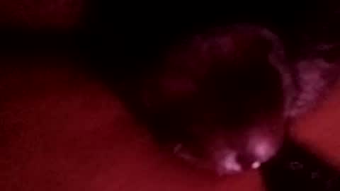 Snapshot of bcfalcon69 chatting on 04/01/26, 03:18 bcfalcon69 online show from 04/01/26, 03:18