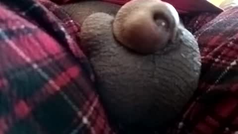 Snapshot of bcfalcon69 chatting on 06/01/26, 01:24 bcfalcon69 online show from 06/01/26, 01:24