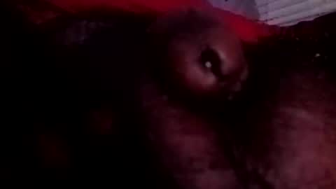Snapshot of bcfalcon69 chatting on 06/25/26, 03:28 bcfalcon69 online show from 06/25/26, 03:28