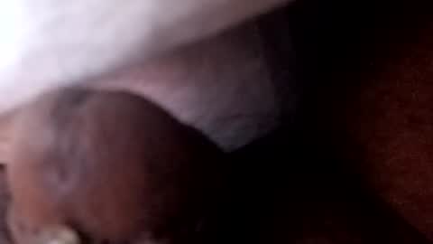 Snapshot of bcfalcon69 chatting on 07/02/26, 05:46 bcfalcon69 online show from 07/02/26, 05:46