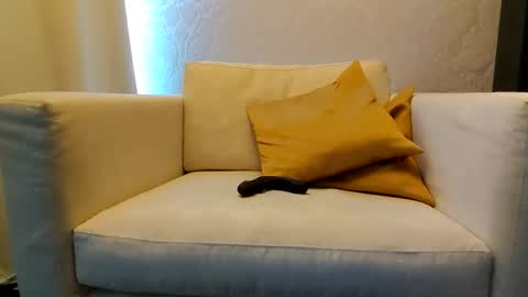 bd online show from 02/09/26, 03:16