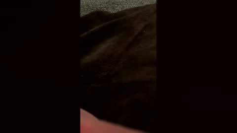 Snapshot of bdddave chatting on 03/09/26, 12:14 bdddave online show from 03/09/26, 12:14