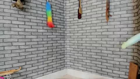 Meduza  online show from 11/29/25, 03:48