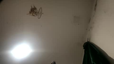 Sara  Juan online show from 11/27/25, 02:24