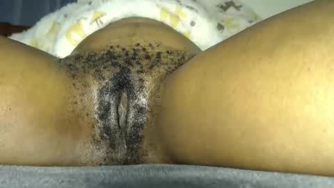 bea online show from 01/15/26, 11:52