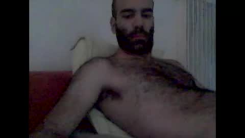 Snapshot of bear14250949 chatting on 11/01/25, 08:05 bear14250949 online show from 11/01/25, 08:05