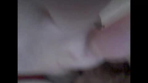 Snapshot of bear14250949 chatting on 11/14/25, 10:25 bear14250949 online show from 11/14/25, 10:25