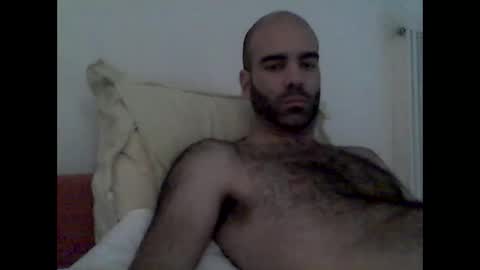 Snapshot of bear14250949 chatting on 11/16/25, 11:38 bear14250949 online show from 11/16/25, 11:38