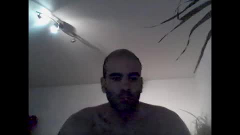 Snapshot of bear14250949 chatting on 12/21/25, 09:05 bear14250949 online show from 12/21/25, 09:05